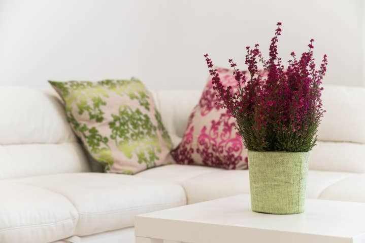 Apartmán Mediterranean House Nettuno Exteriér fotografie